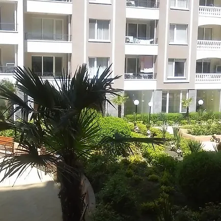 Zornitsa Perla 4